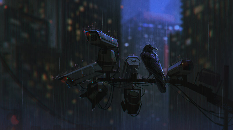 Crow on Security Cameras — Blue