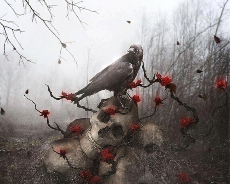 Crow on Skull — Gray, Dark