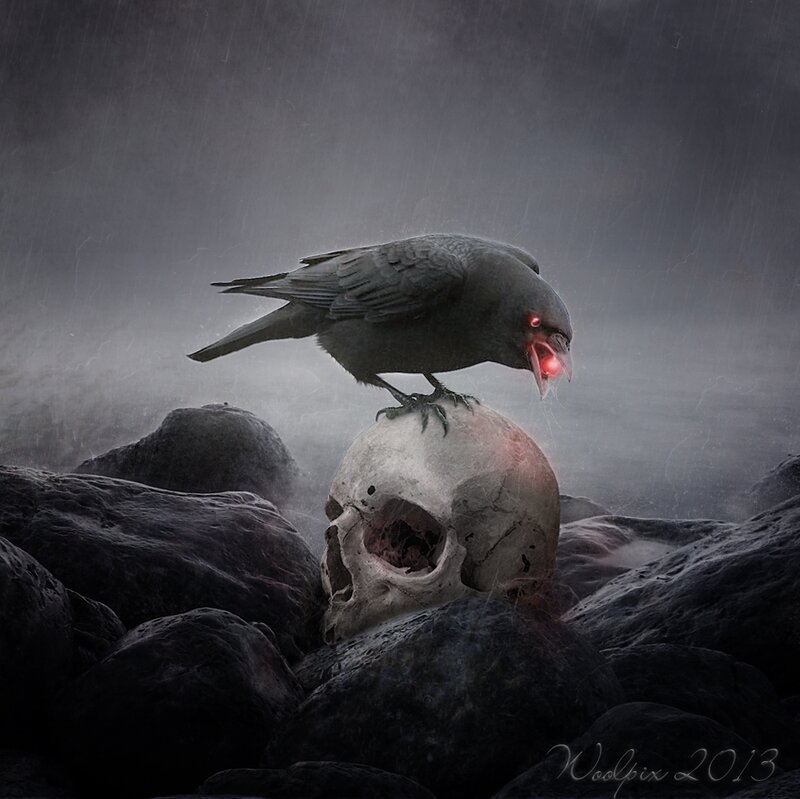Crow on Skull — Gray