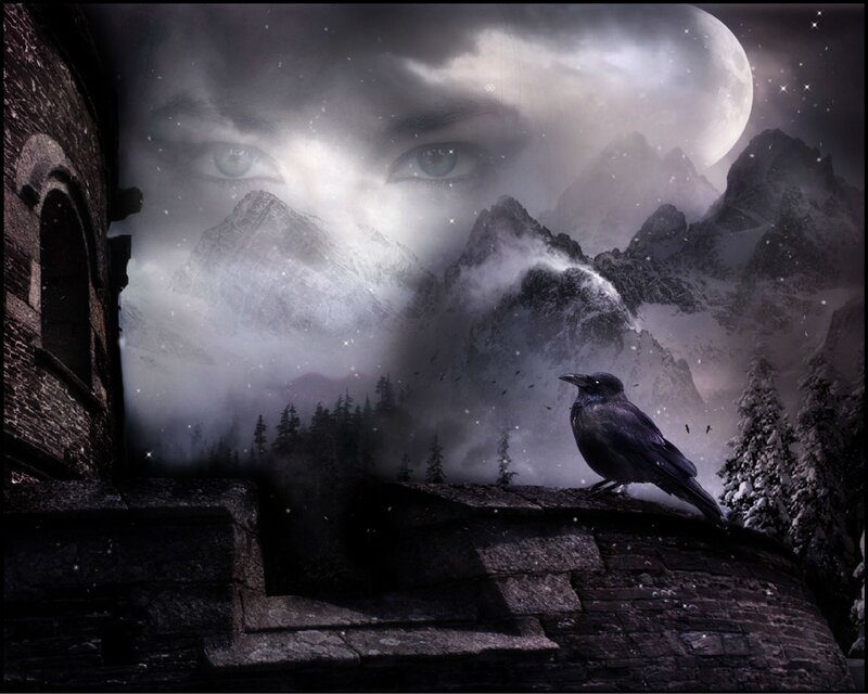 Crow on Stone Wall