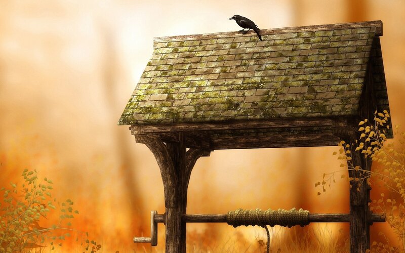 Crow on Well Roof