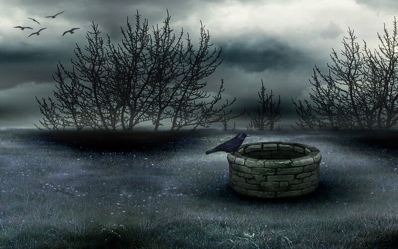 Crow on Well