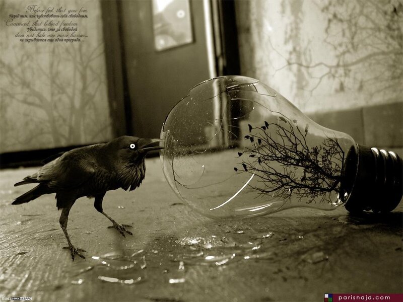 Crow with Broken Bulb