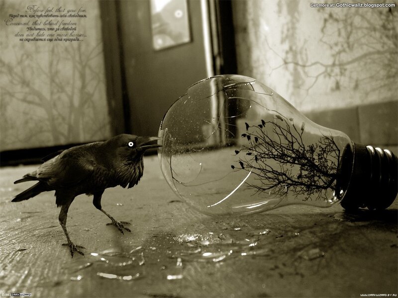 Crow with broken light bulb