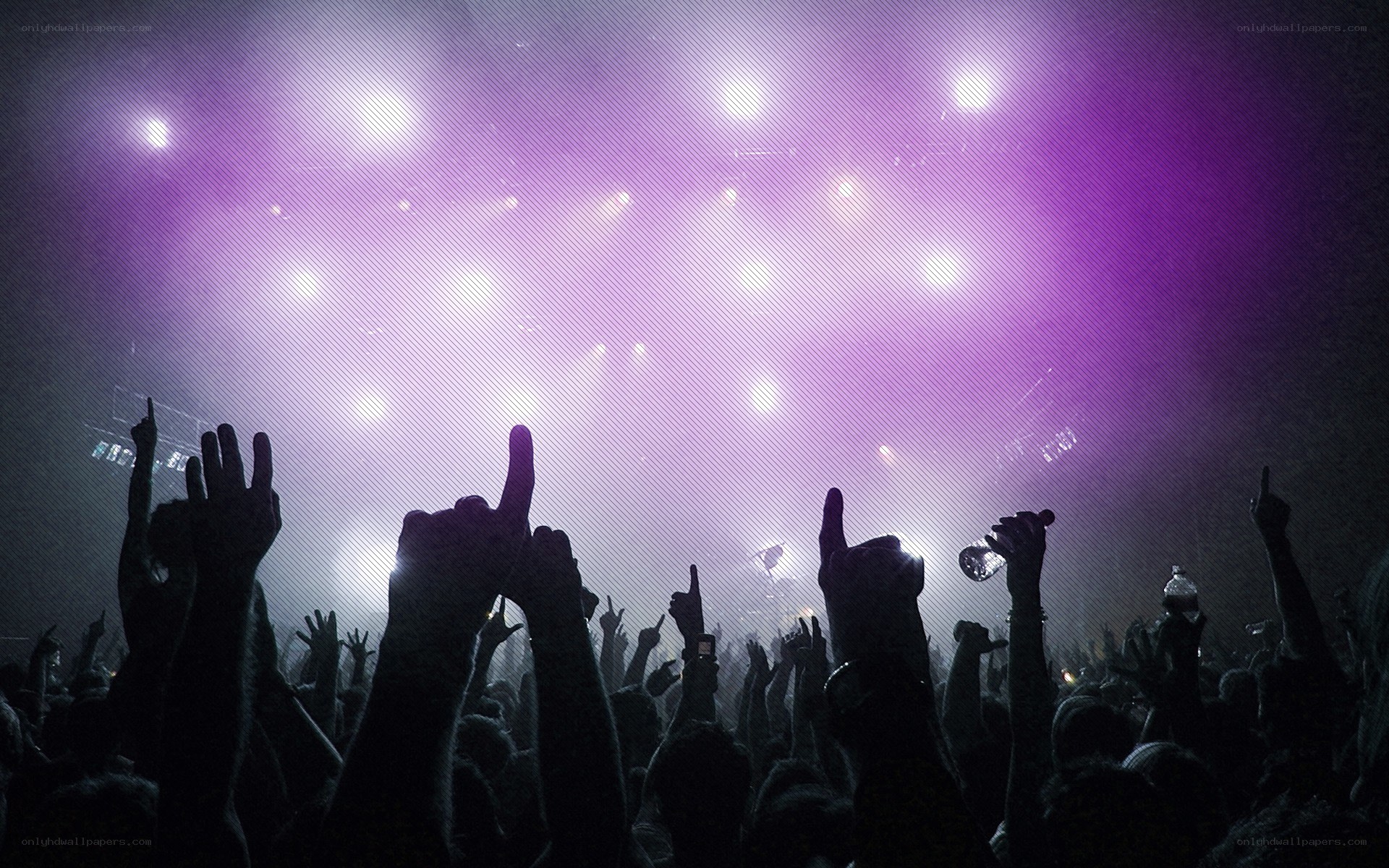 crowd at a concert
