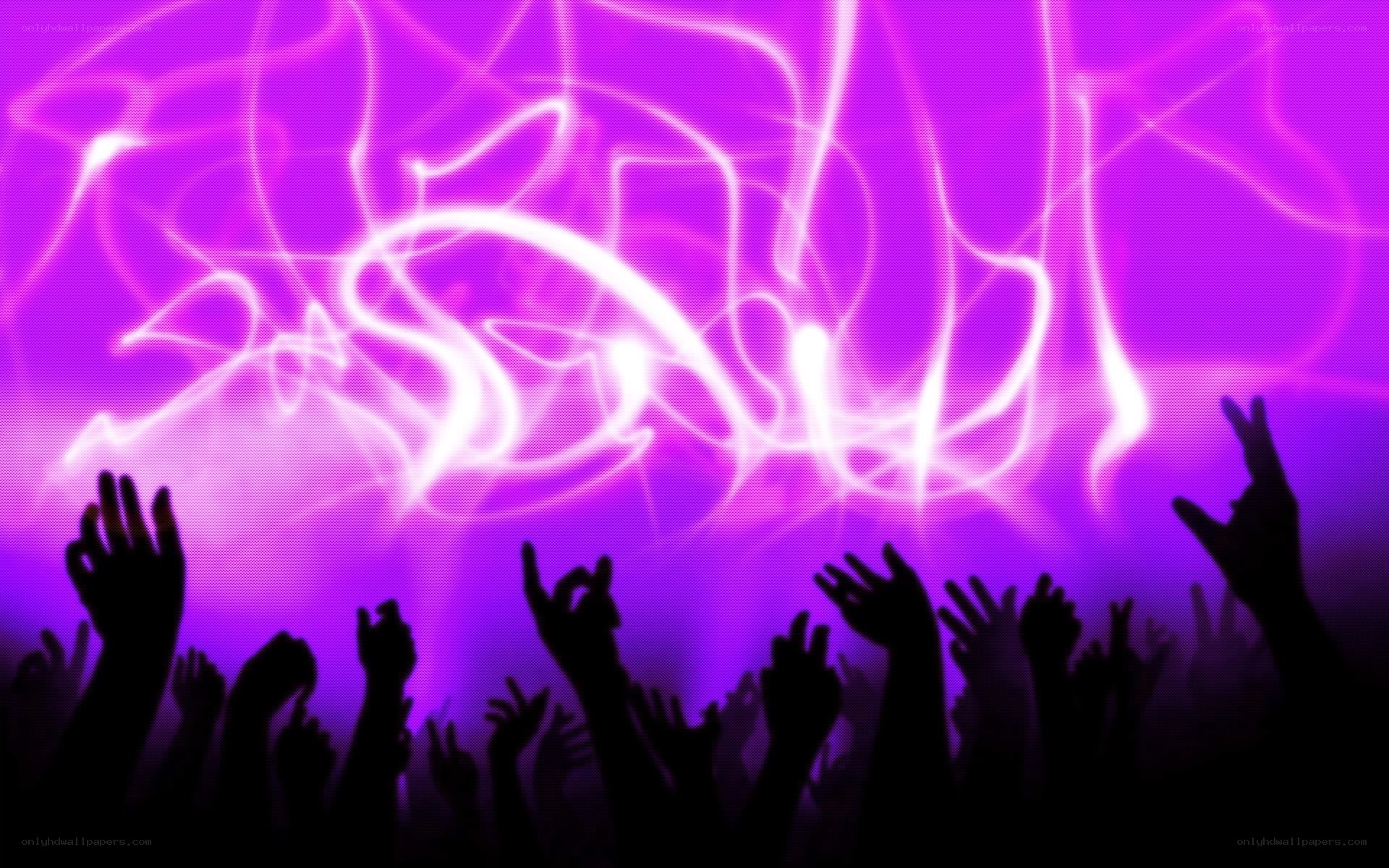 crowd at a concert