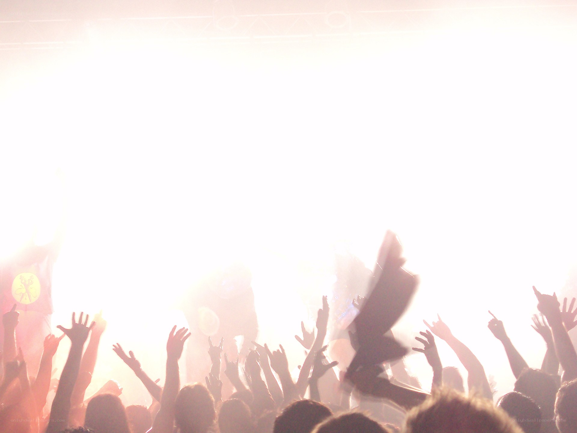 crowd at a concert