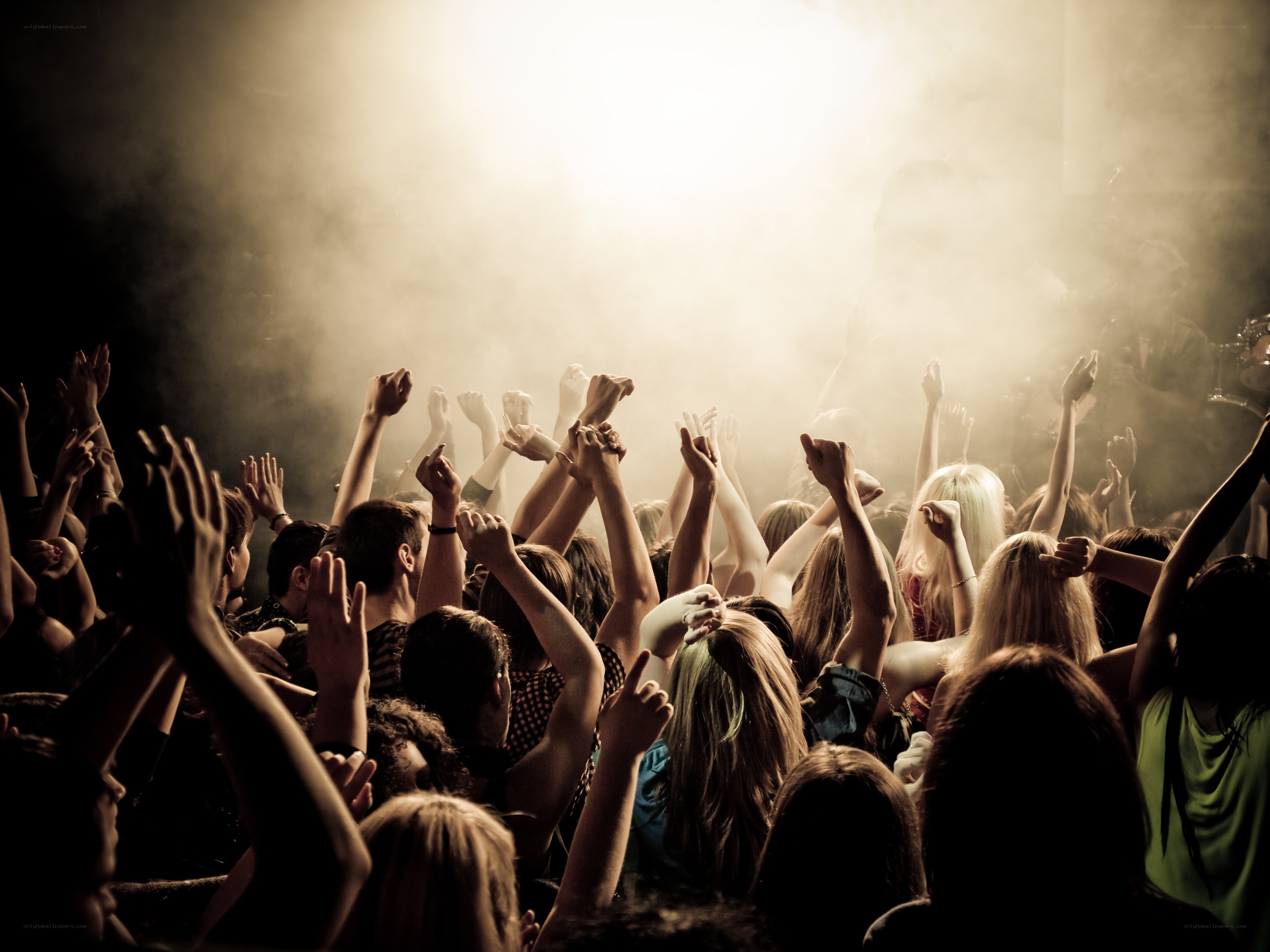 Crowd at a concert
