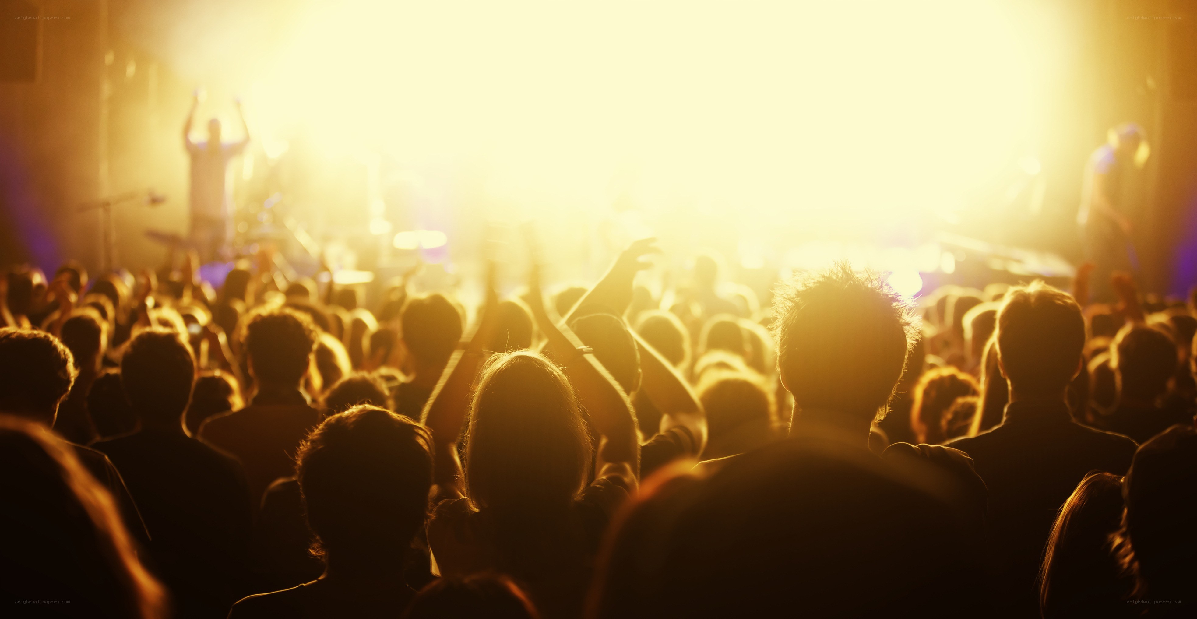 Crowd at a concert