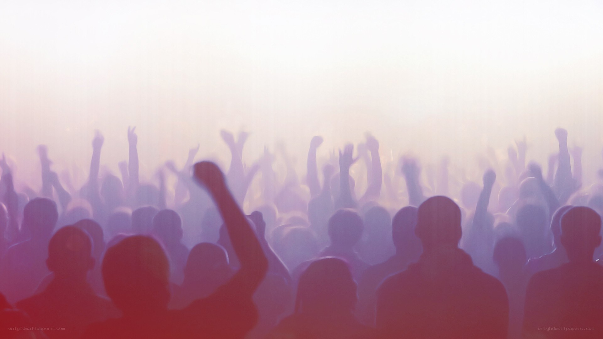 crowd at a concert