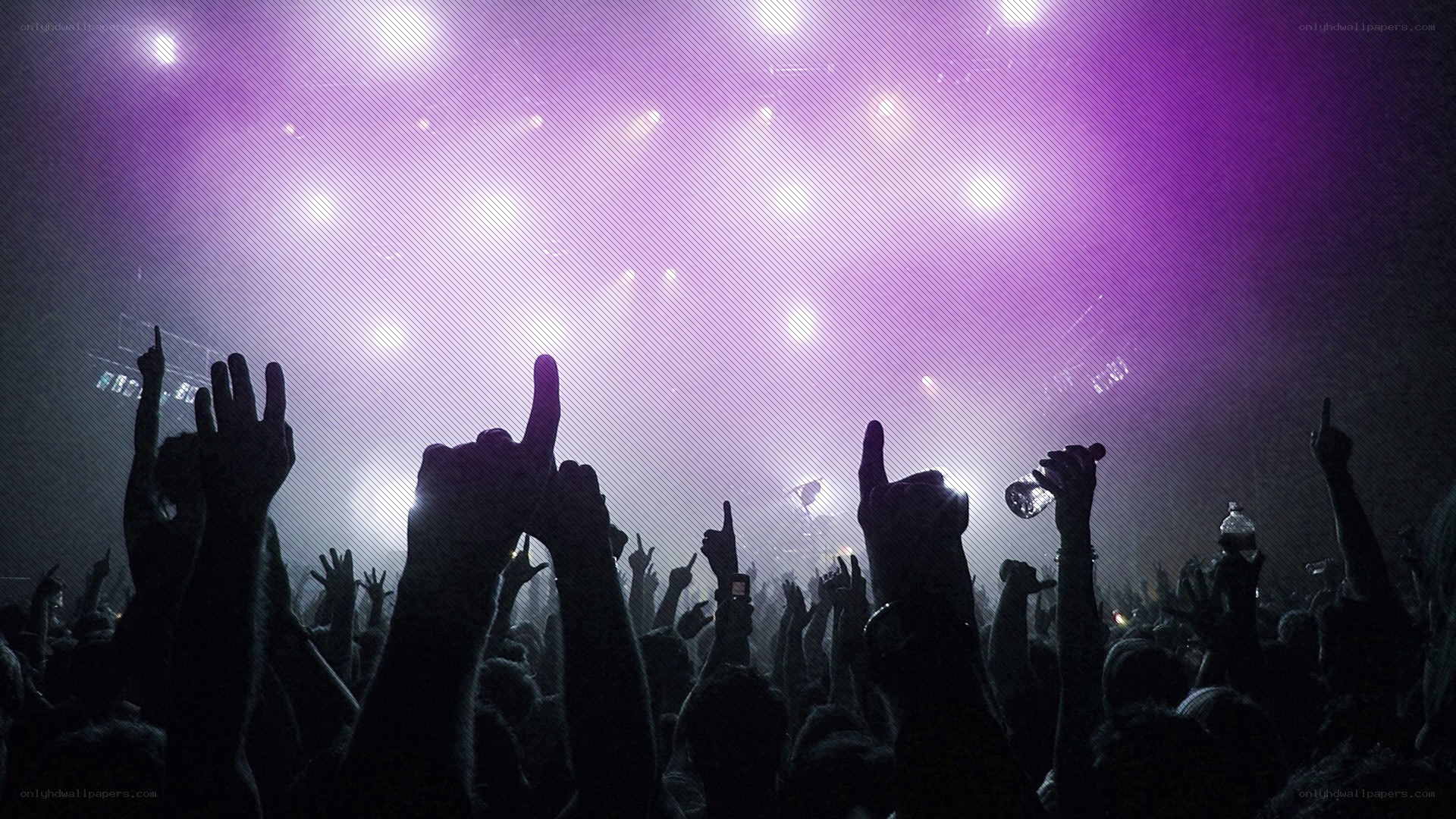 Crowd at a concert