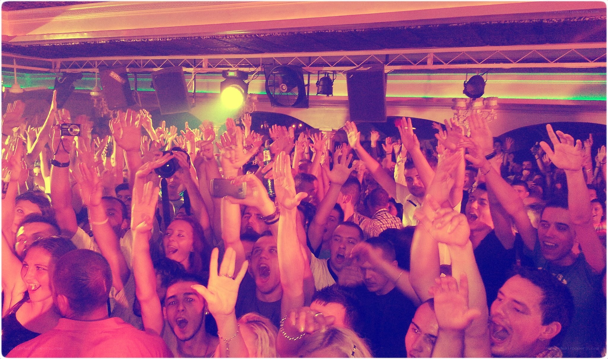Crowd at a concert