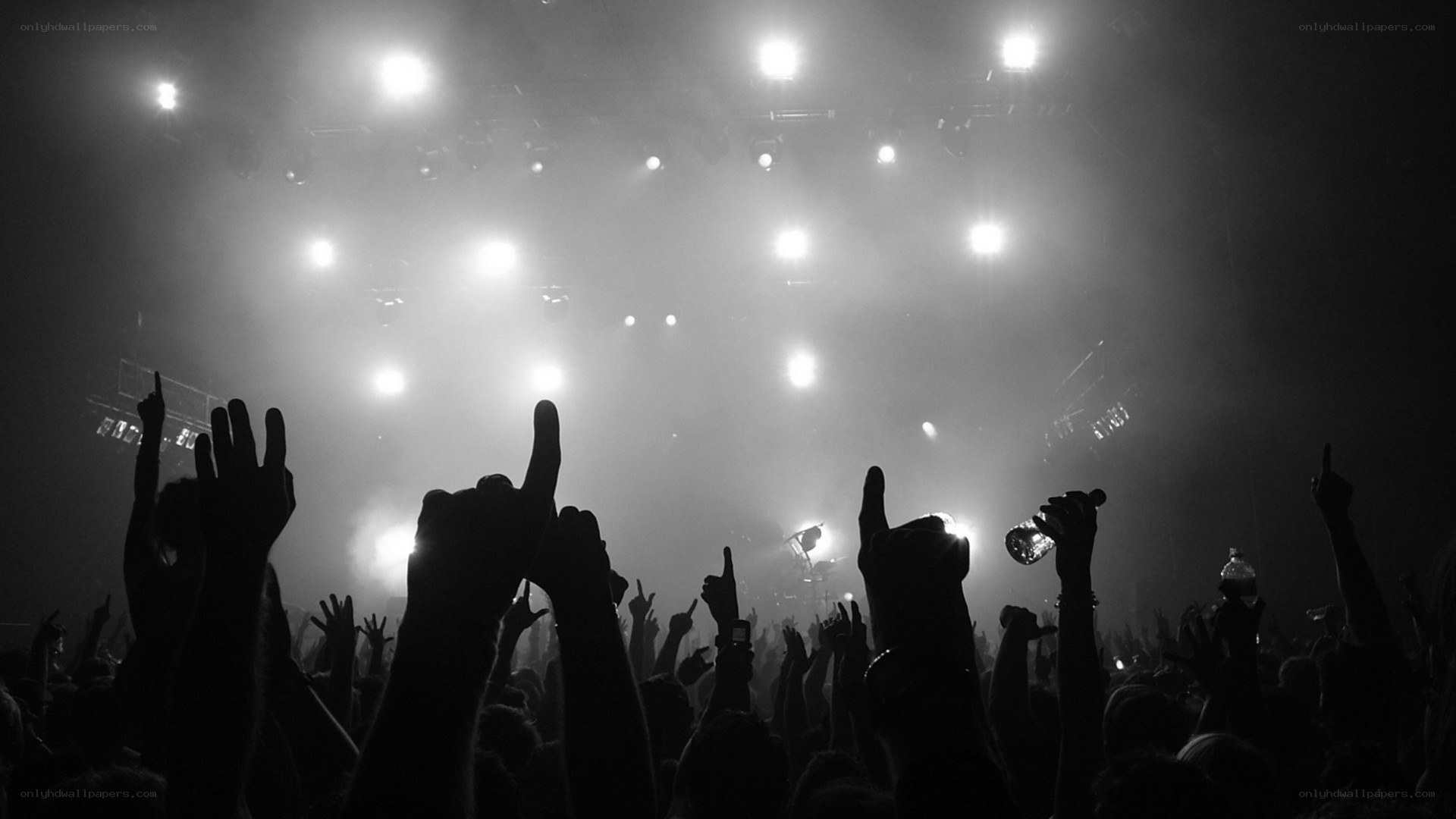 crowd at a concert