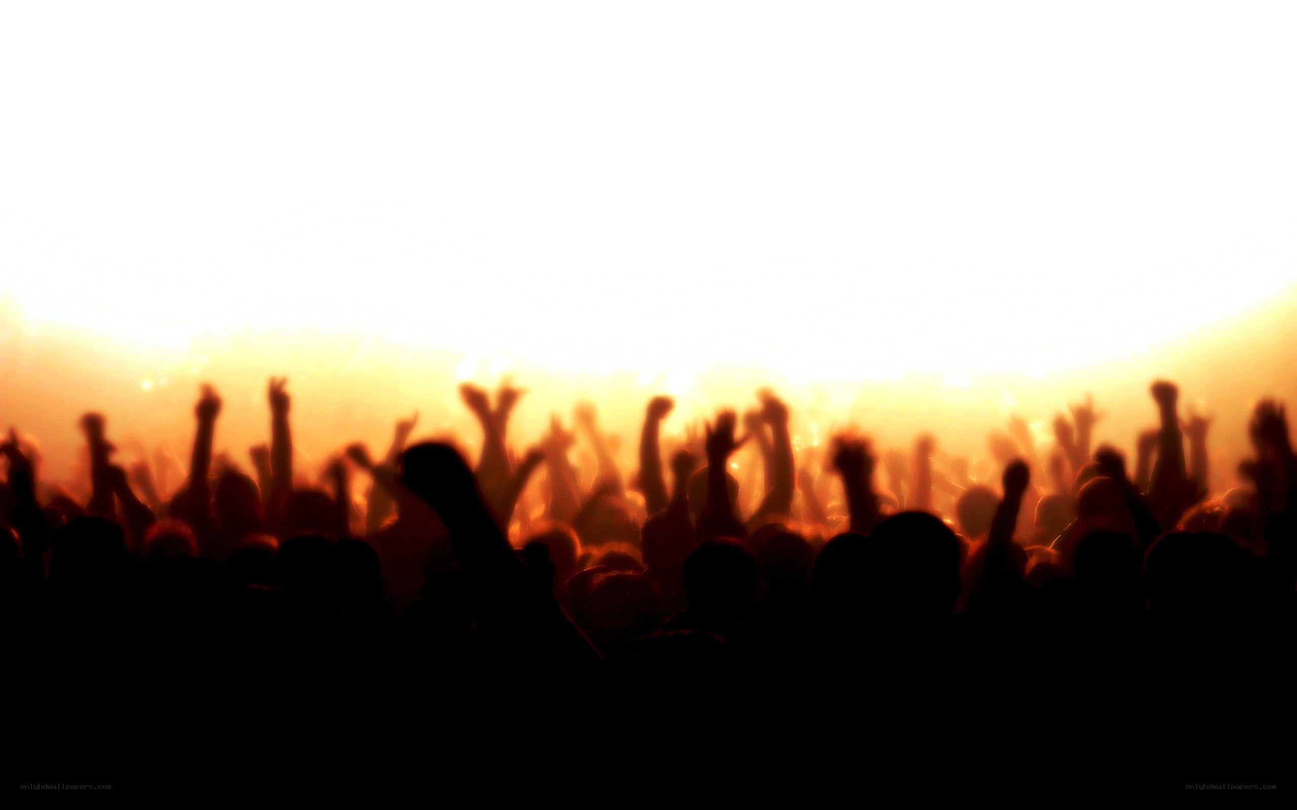 crowd at a concert