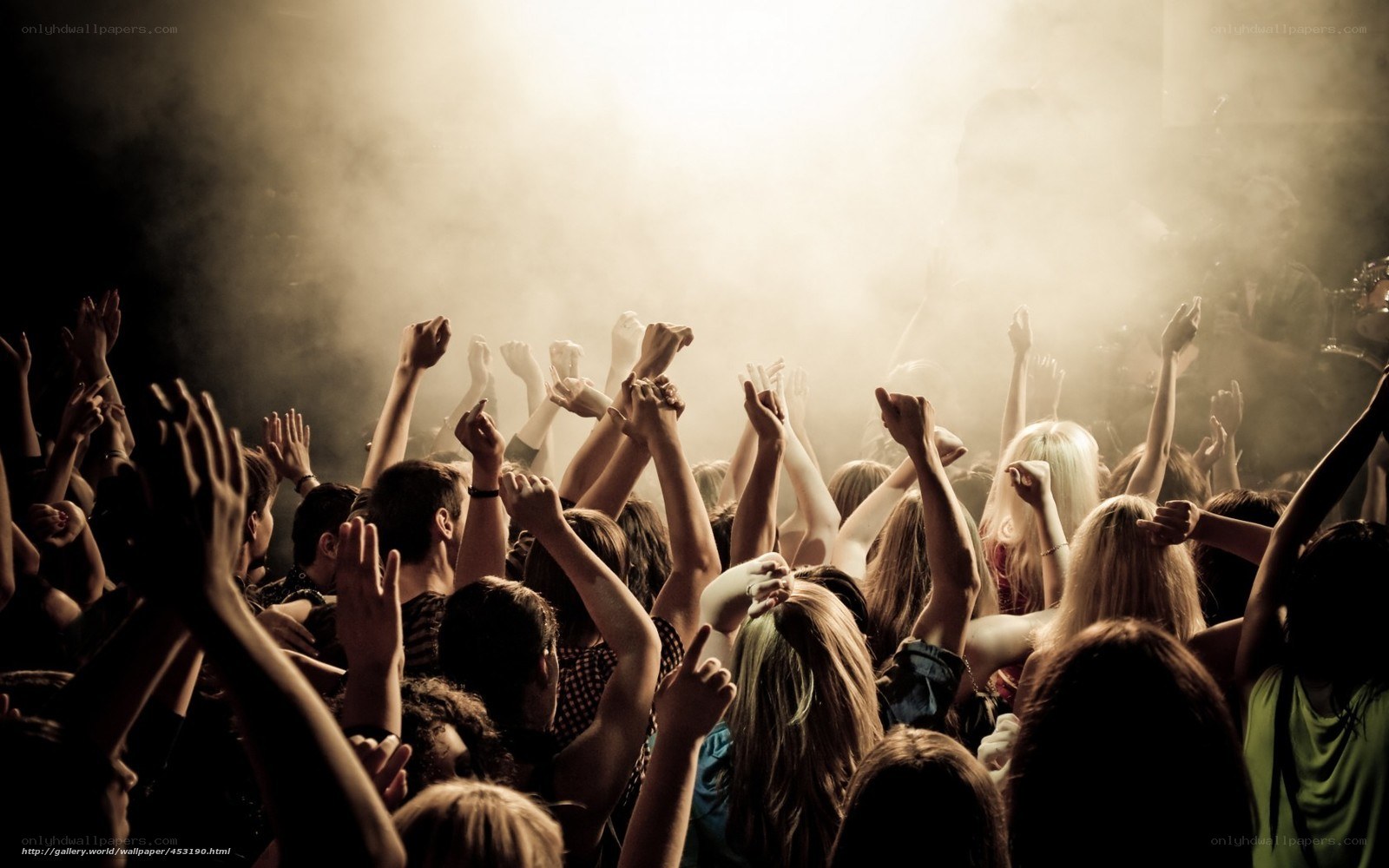 Crowd at a concert
