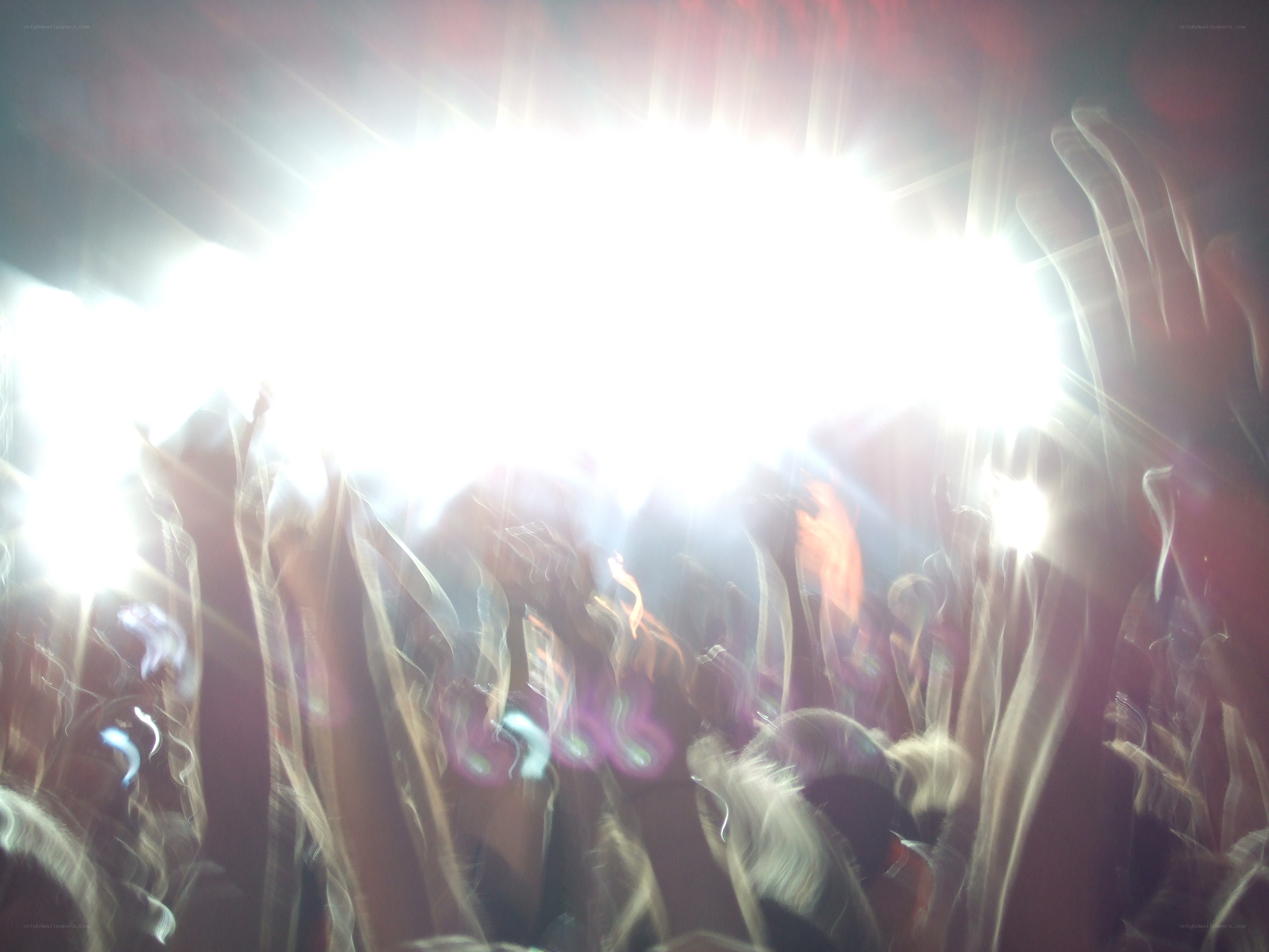 crowd at a concert
