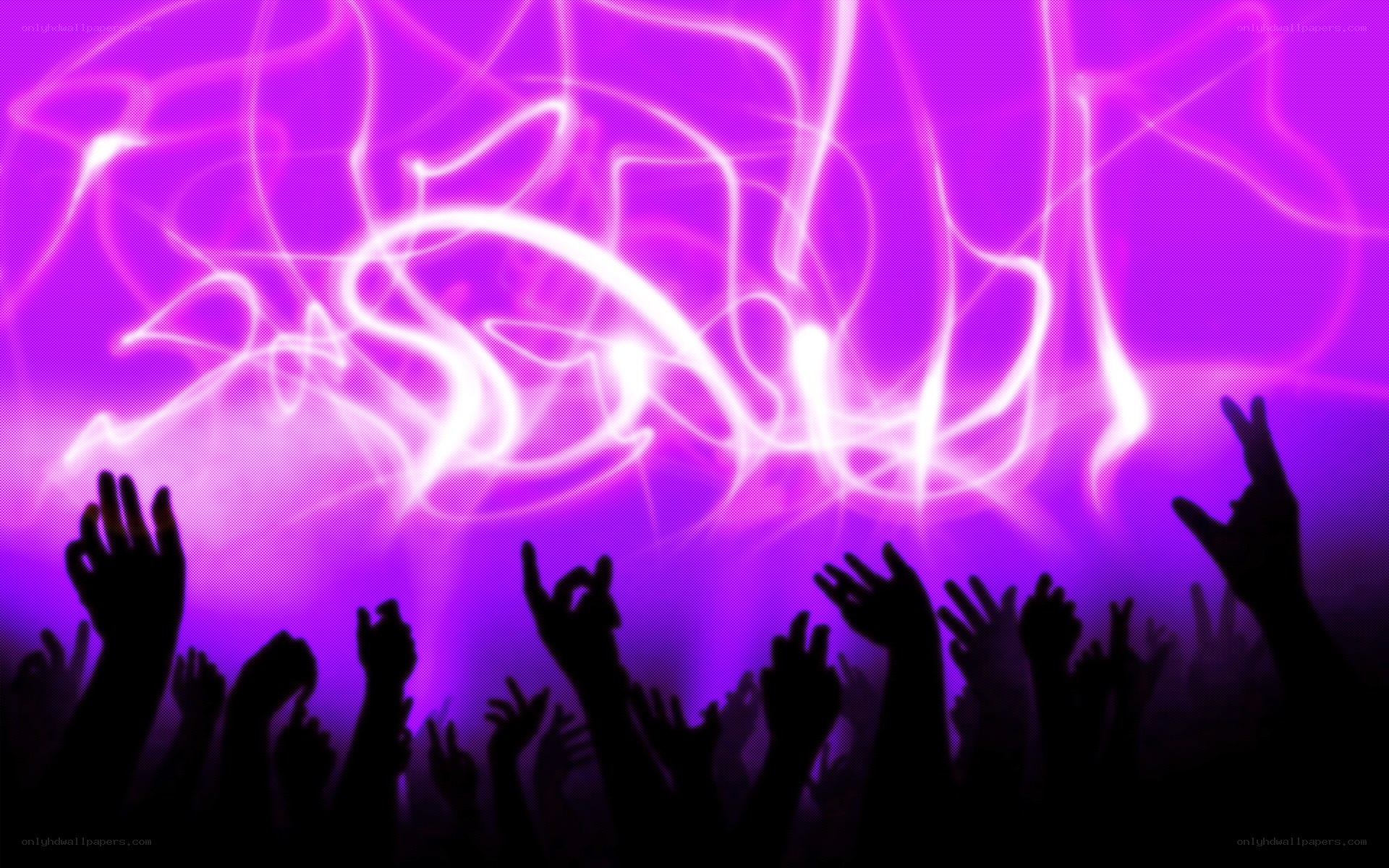 crowd at a concert