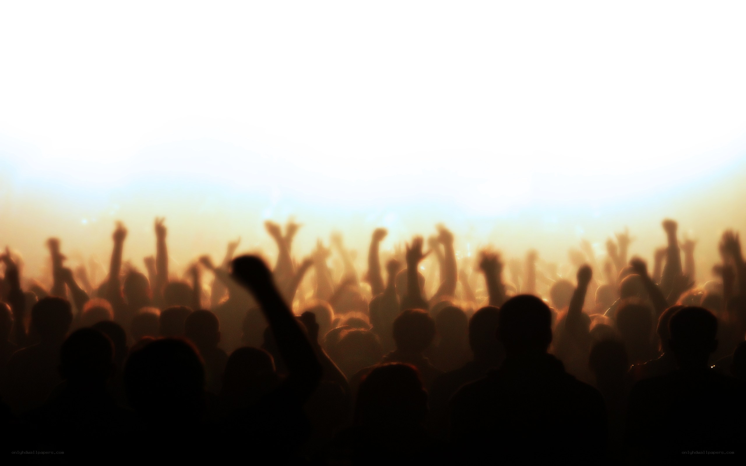 crowd at a concert