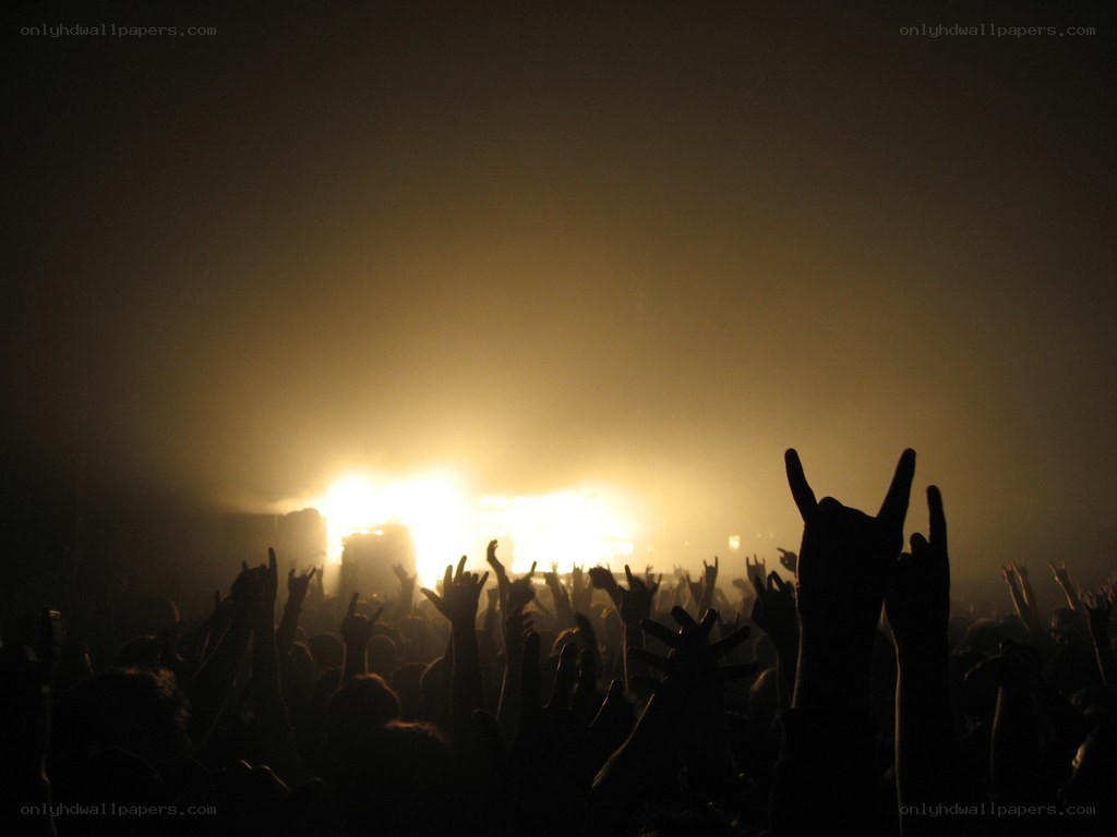 crowd at a concert
