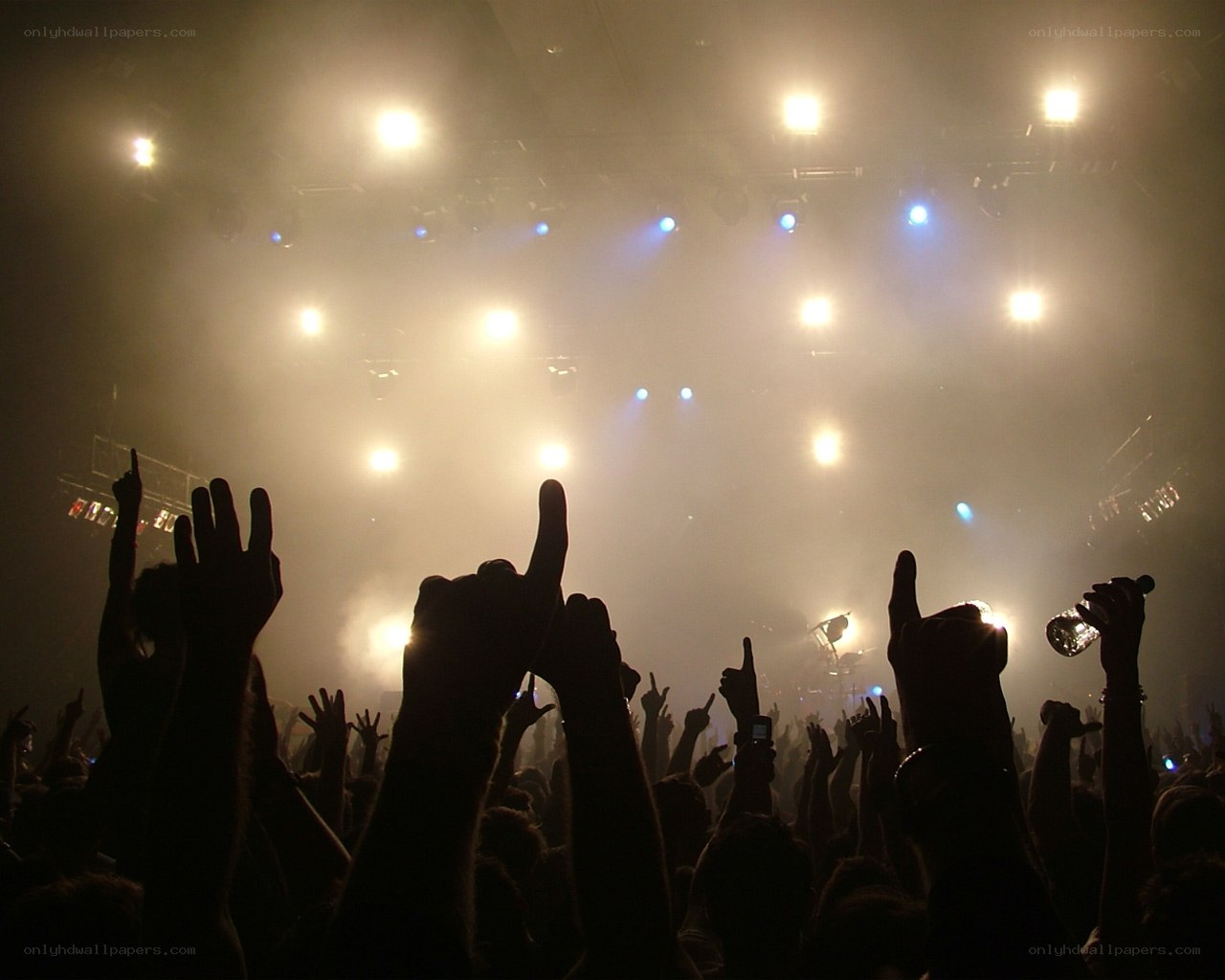 crowd at a concert