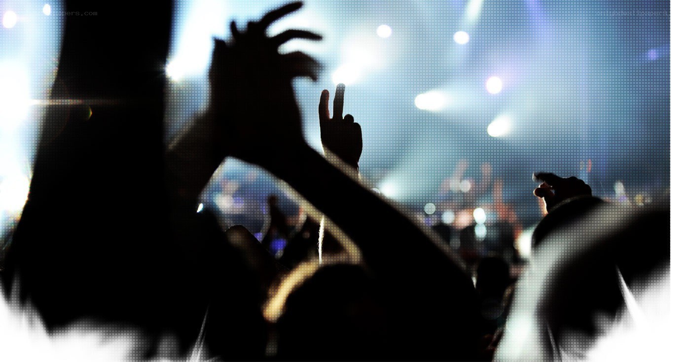 crowd at a concert