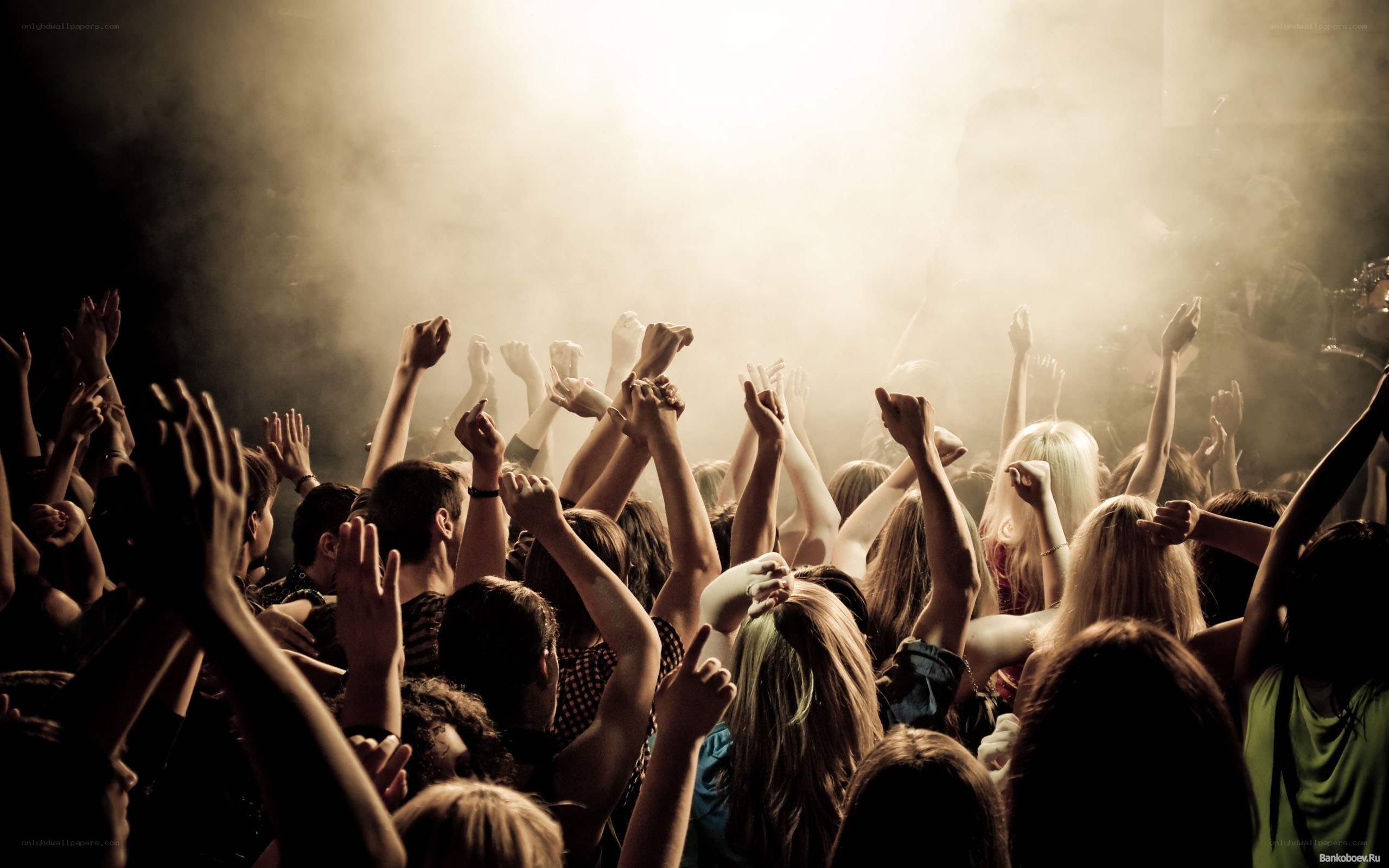 crowd at a concert