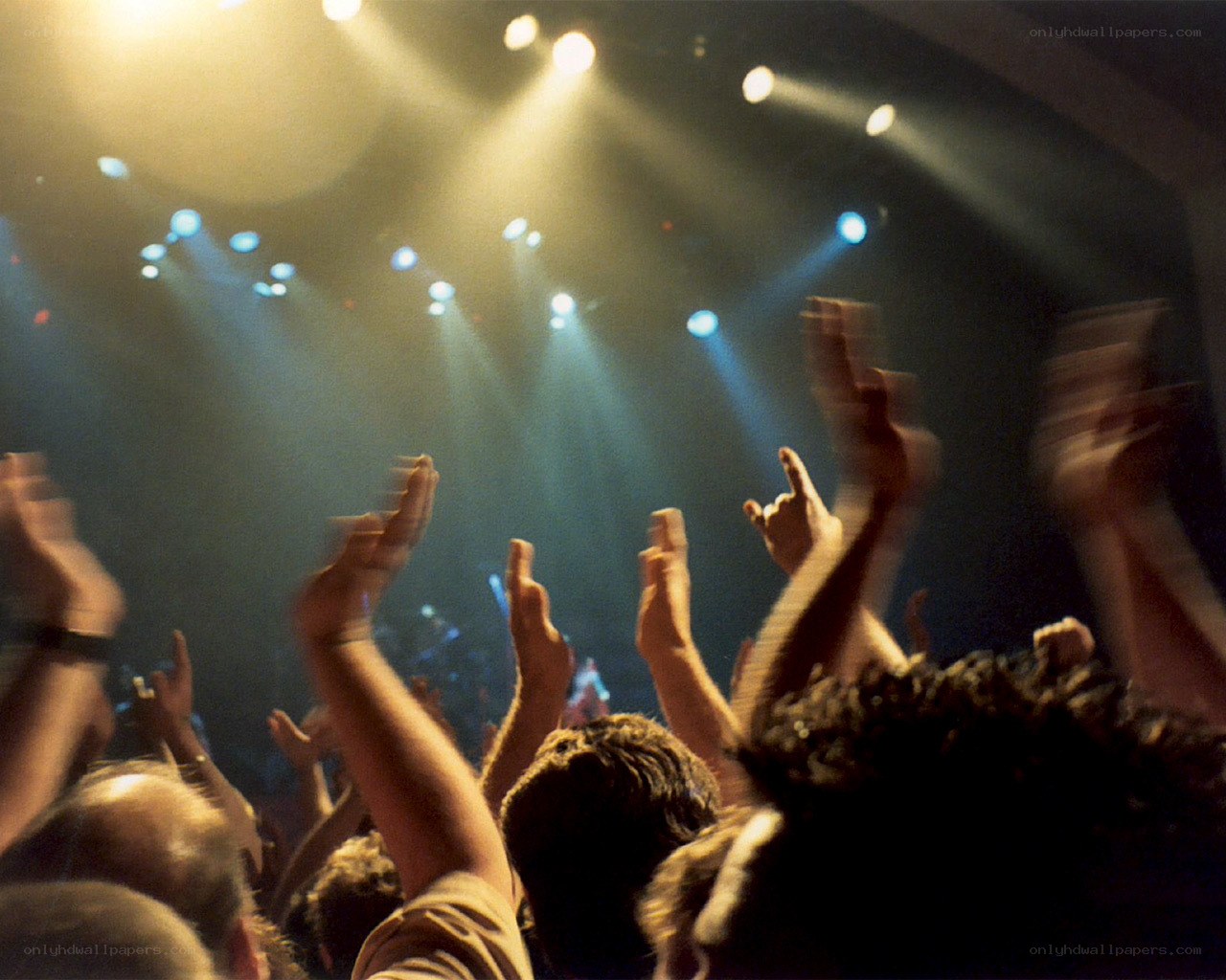 Crowd at a concert with raised hands