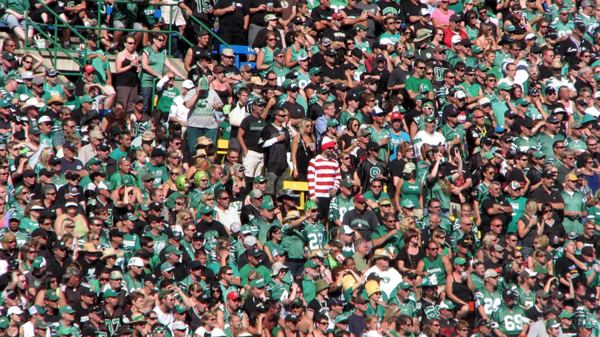 Crowd at a sports event