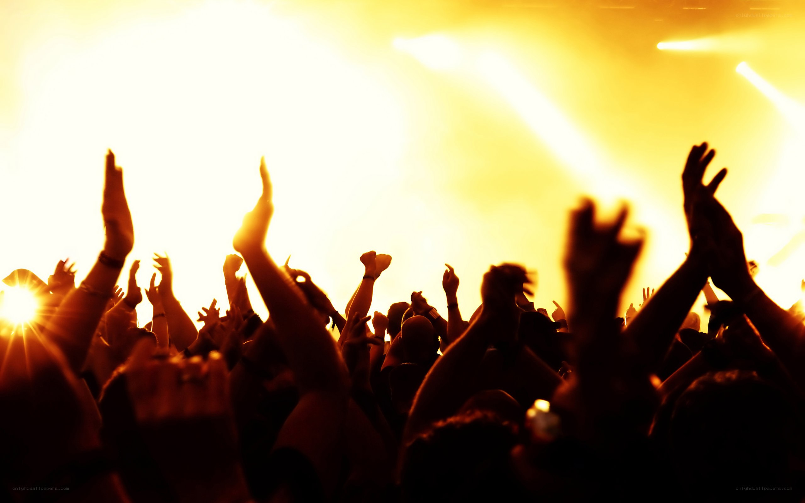 crowd at music concert