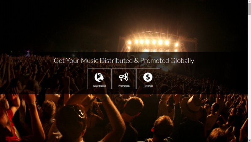 Crowd at Music Concert — Black, Energetic, Night