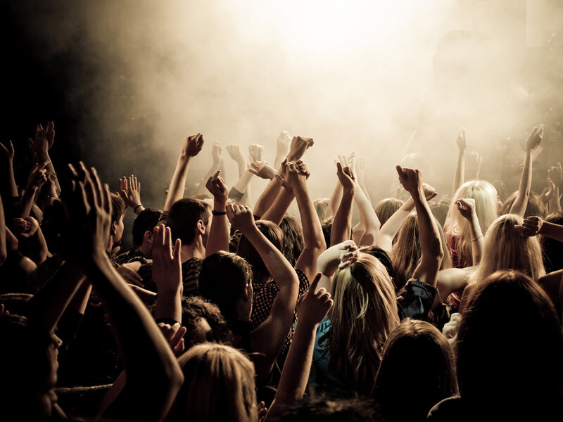 Crowd at Music Concert — Brown