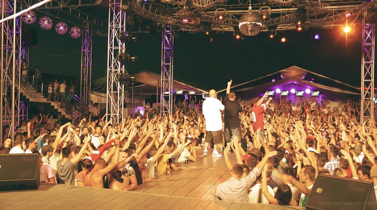 Crowd at outdoor concert