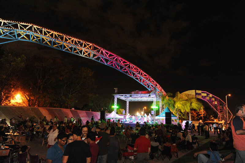 Crowd at Outdoor Concert — Black