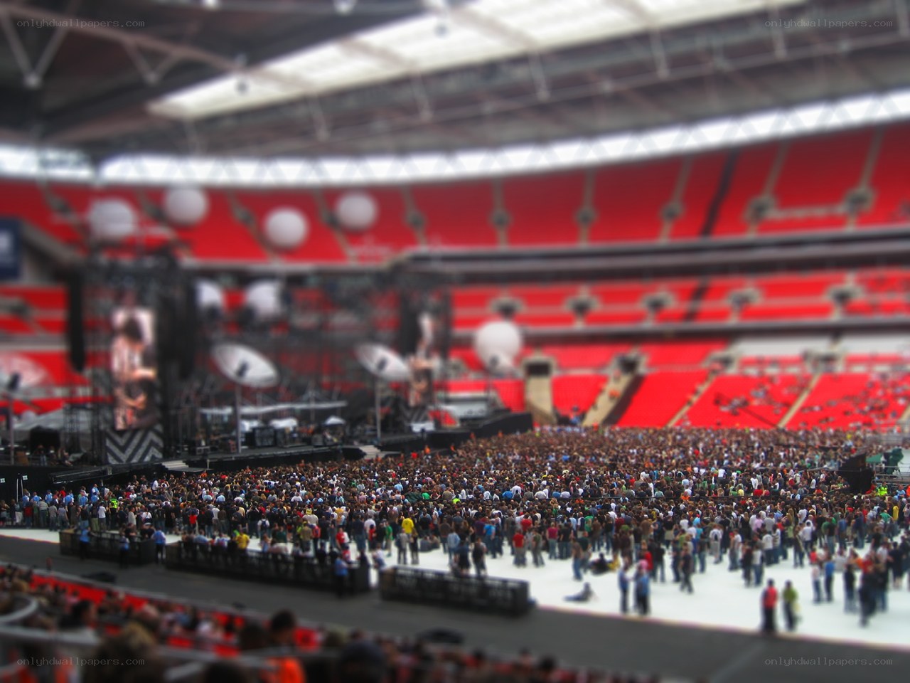 crowd at outdoor concert