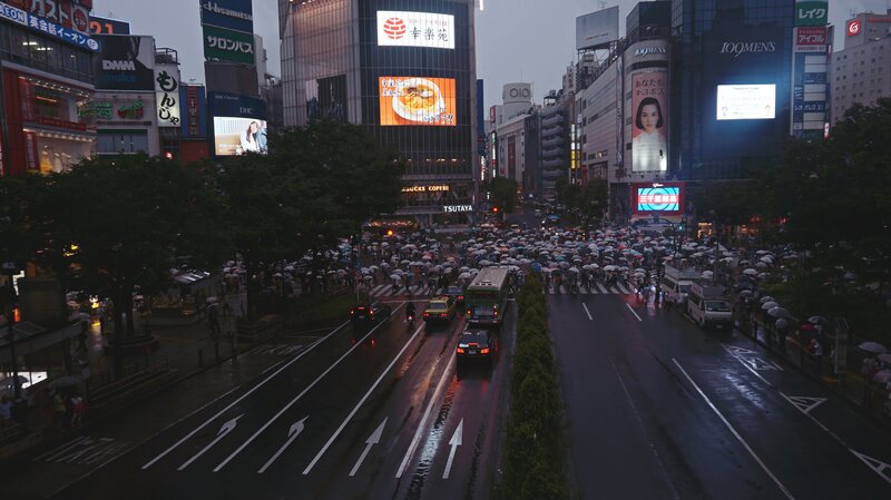 Crowd Crossing Street