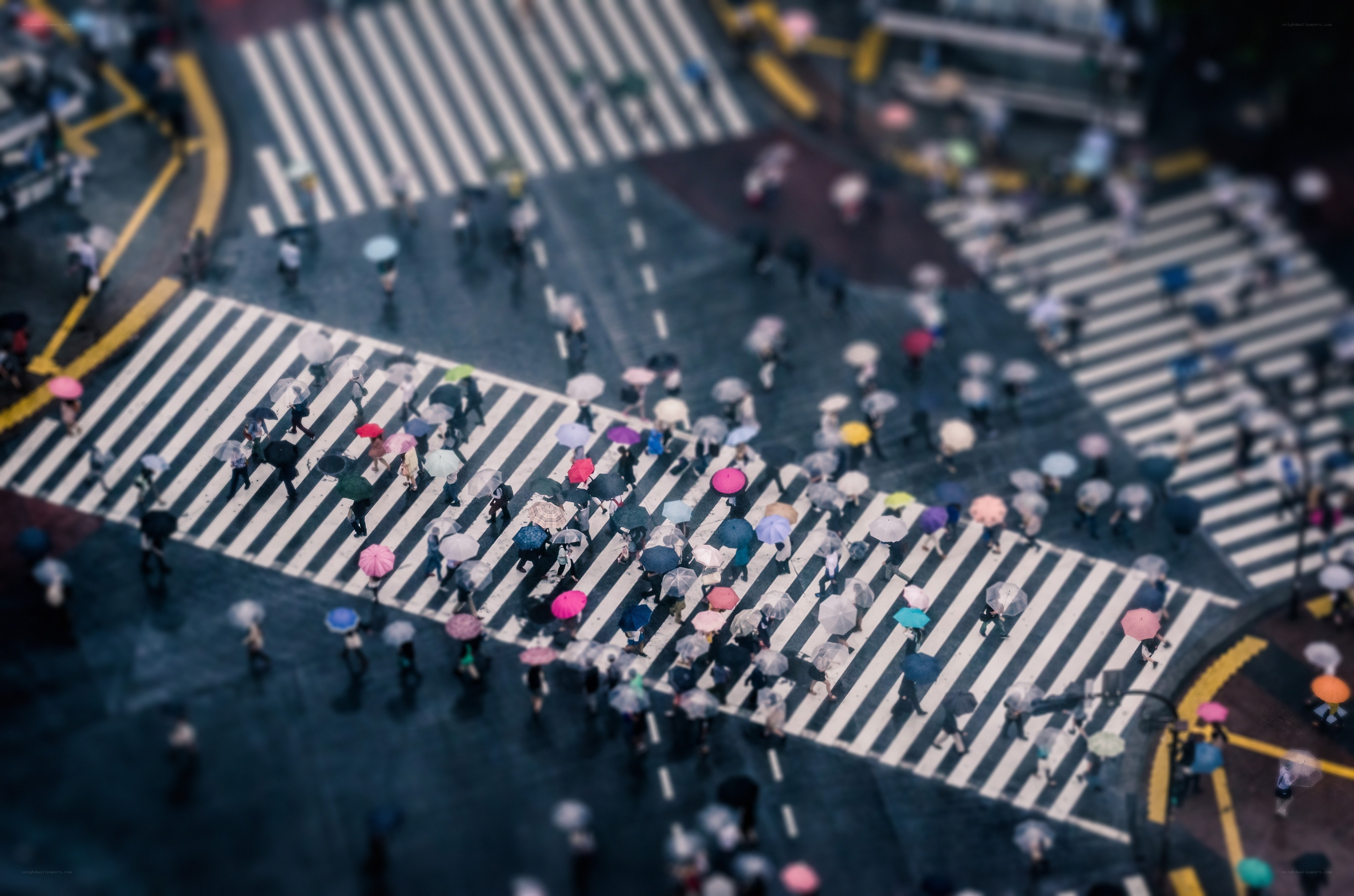 Crowd crossing street with umbrellas