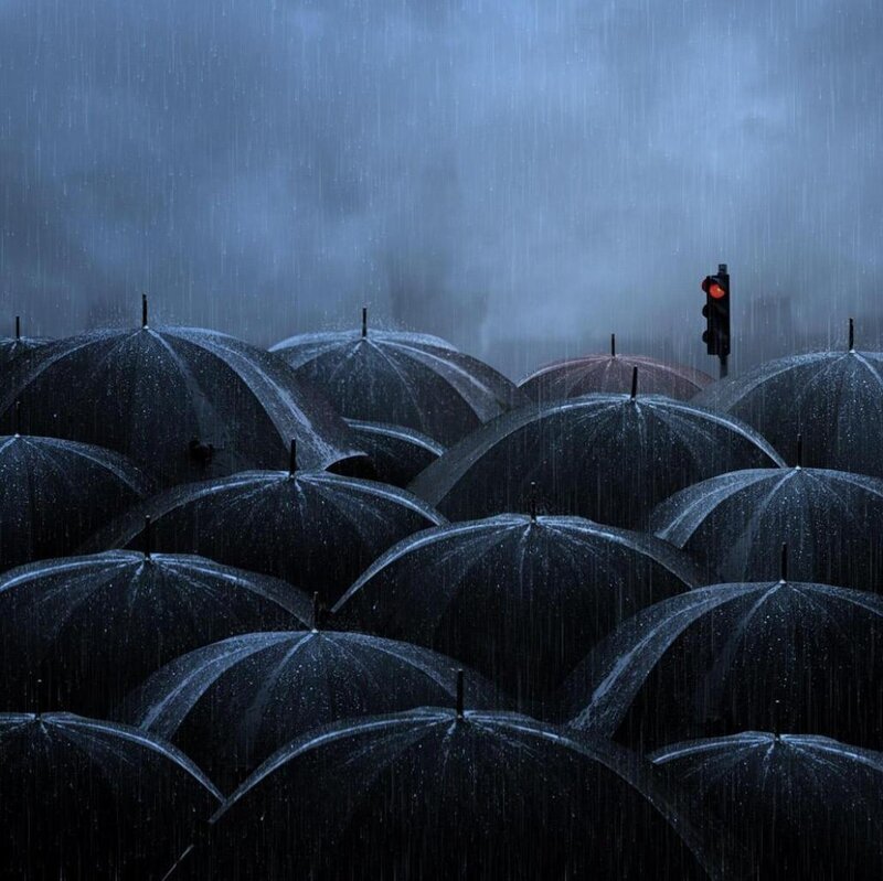 Crowd Holding Umbrellas — Blue
