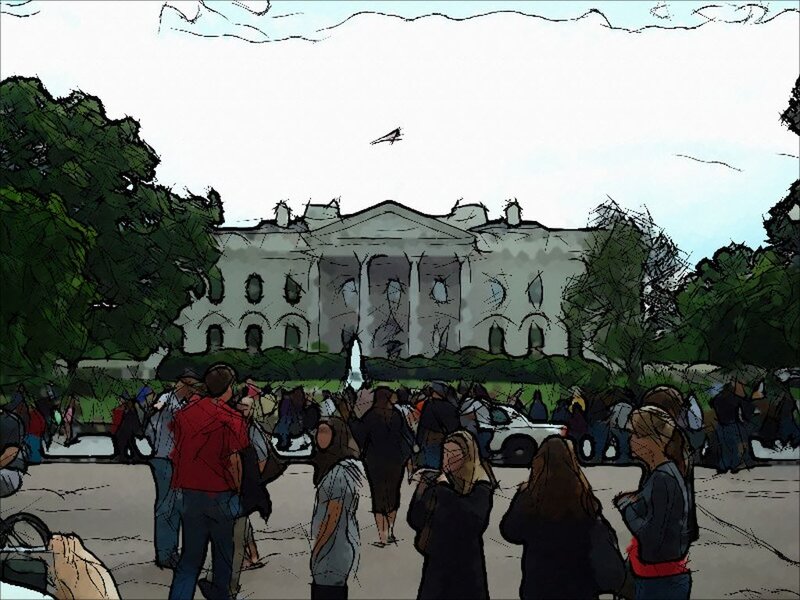 Crowd in Front of White House