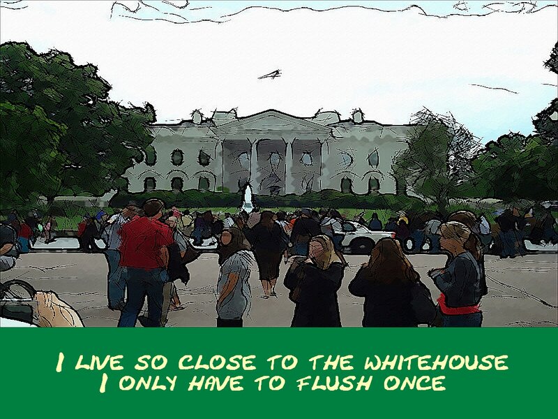 Crowd Near White House