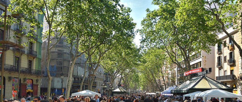 Crowd on Tree-lined Street