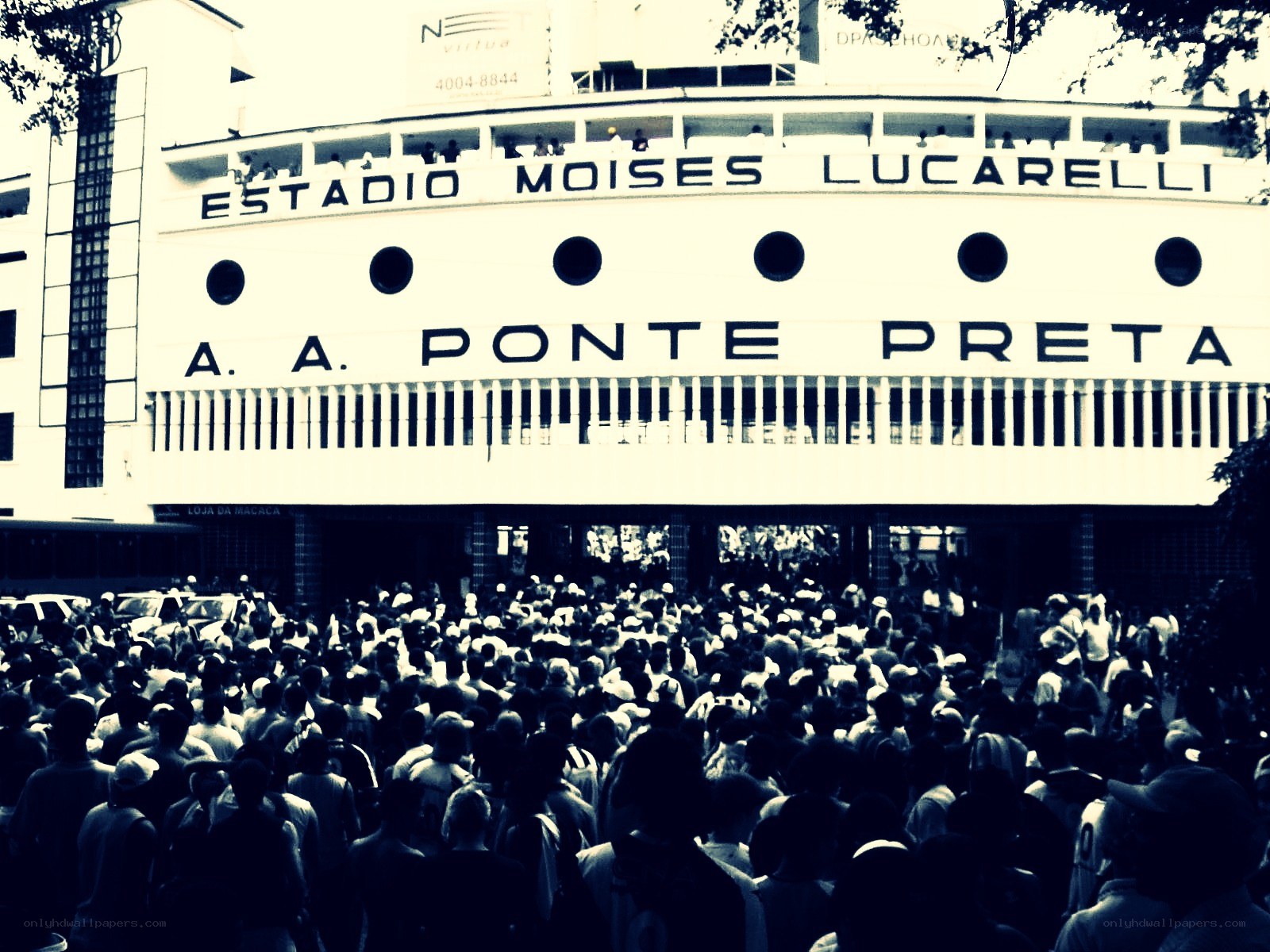 Crowd outside stadium