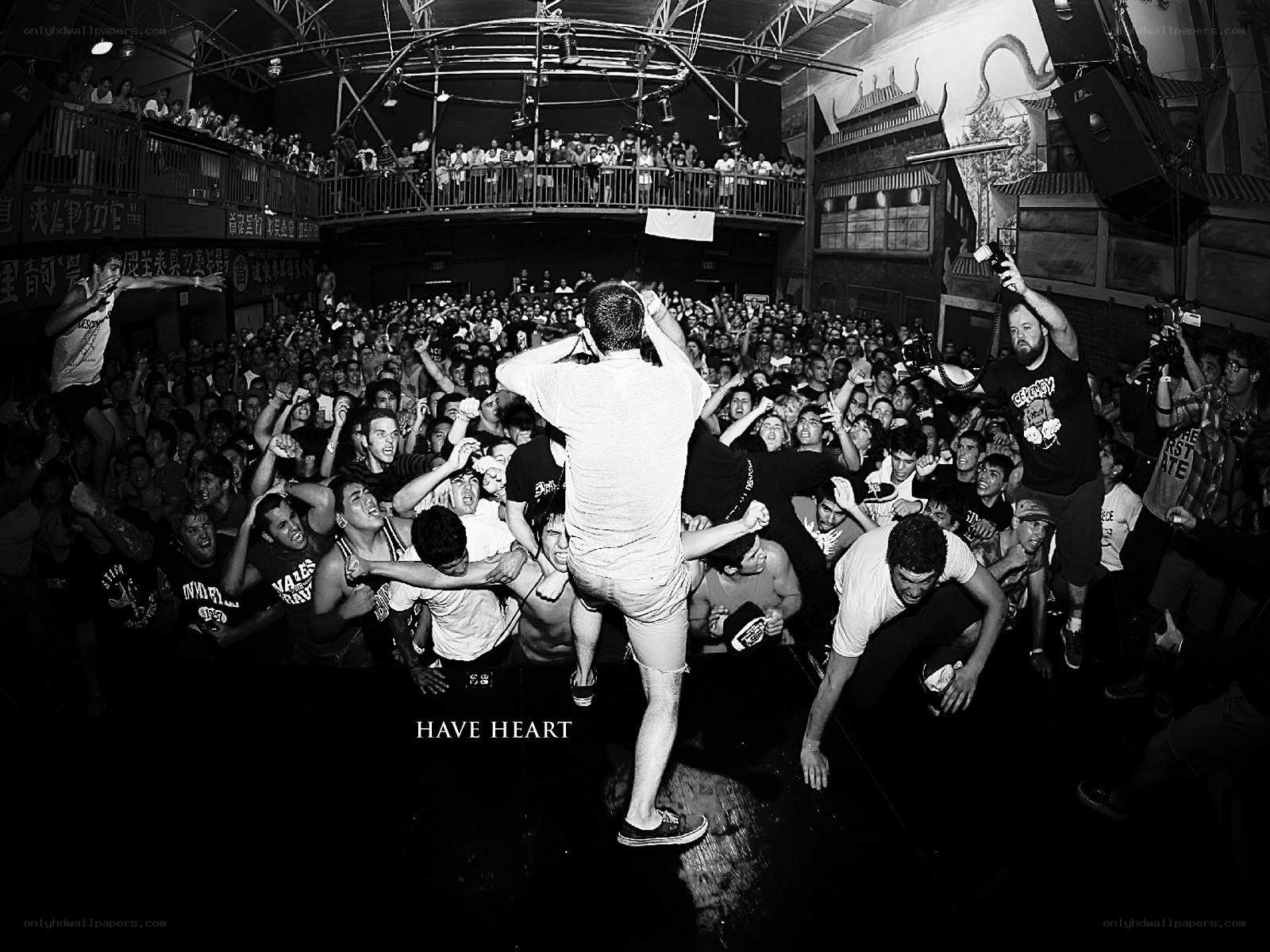 Crowd surfing at a concert
