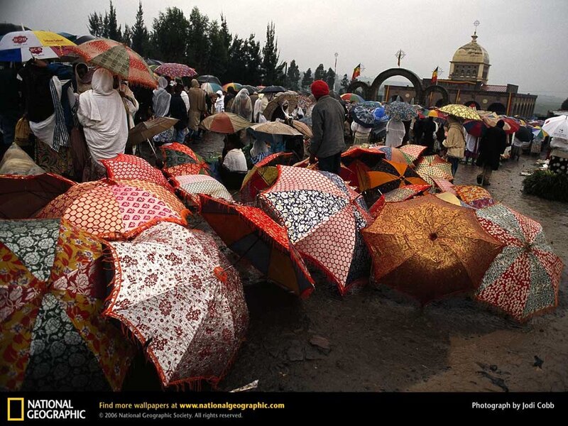 Crowd with Umbrellas — Brown