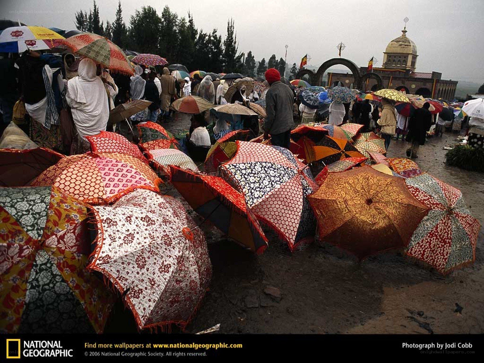 Crowd with umbrellas in rain