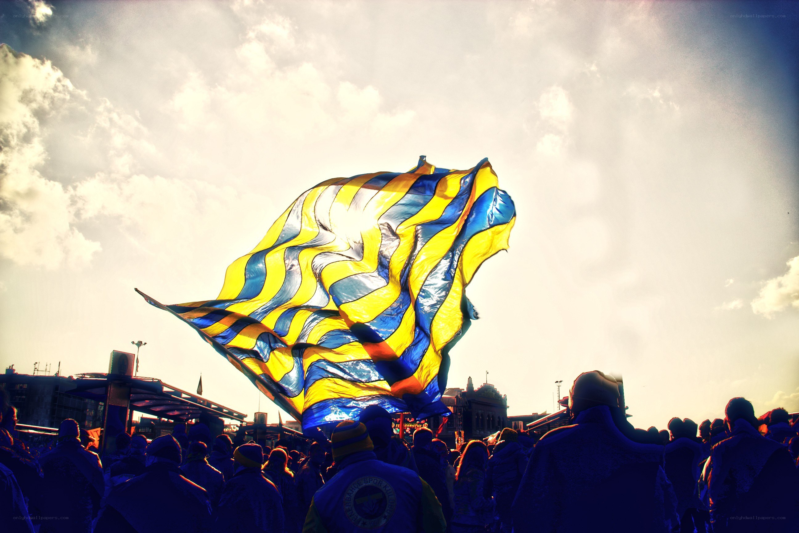 Crowd with waving flag
