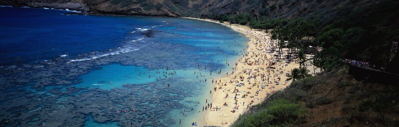 Crowded Beach with Swimmers — Blue