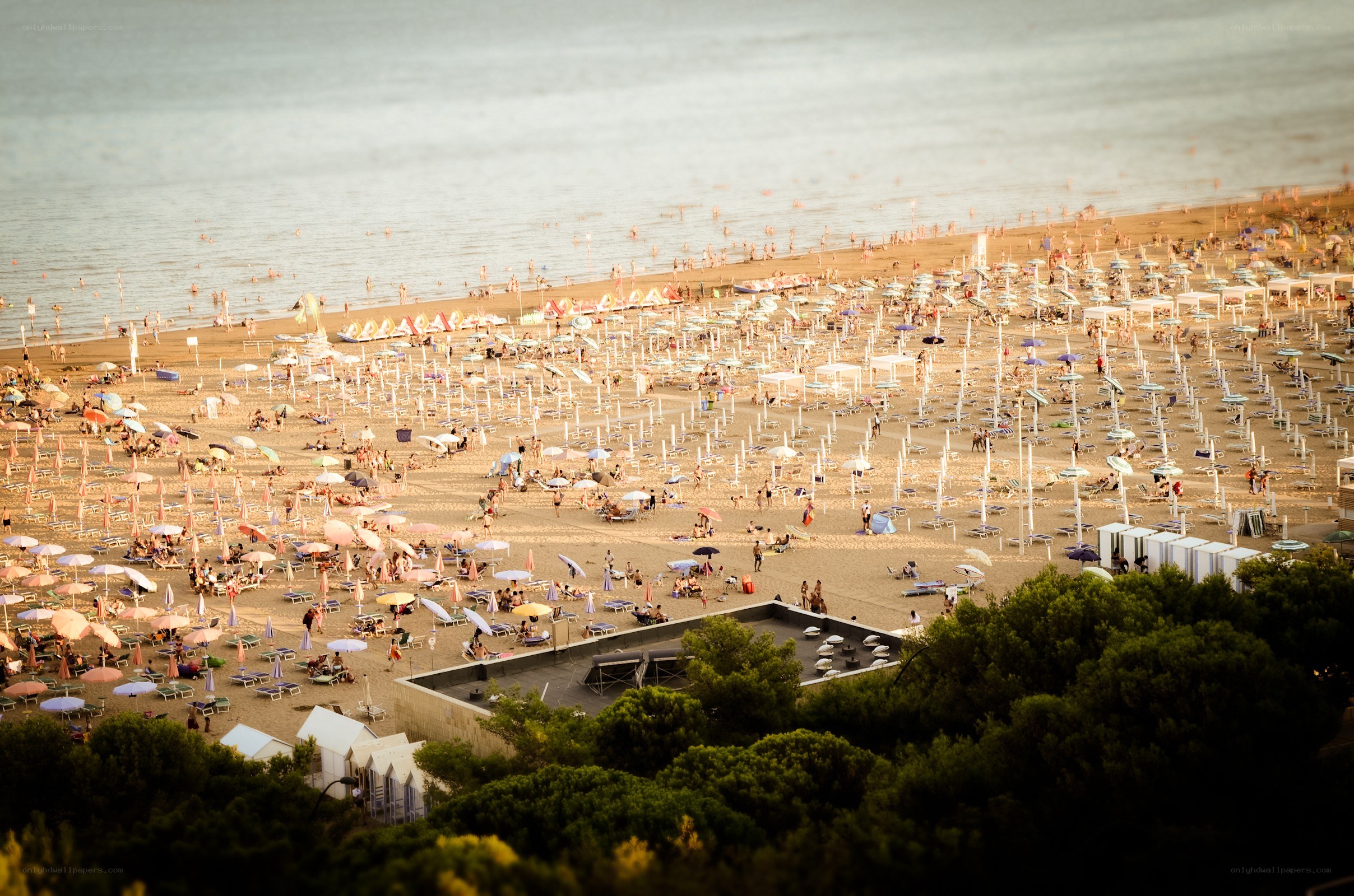 Crowded beach with umbrellas