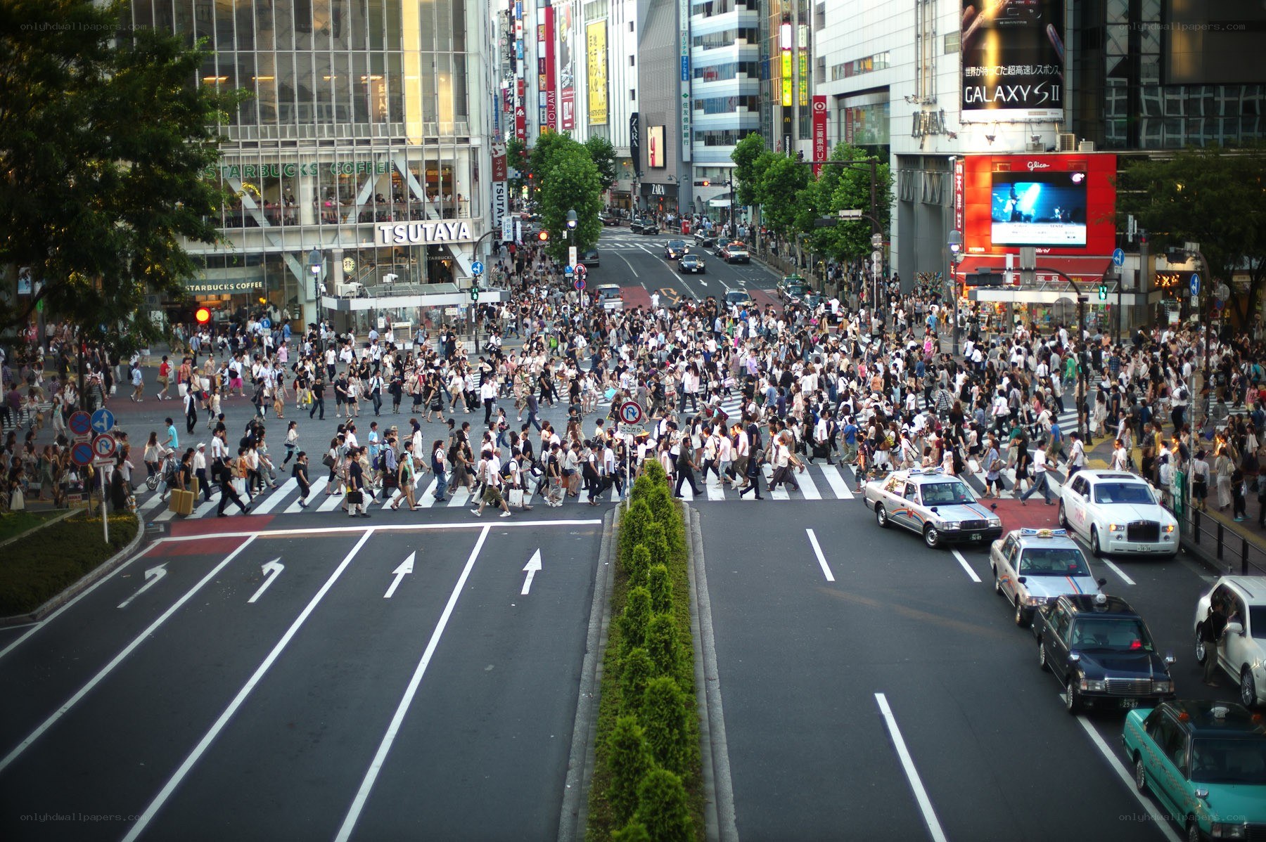 Crowded crosswalk in Tokyo