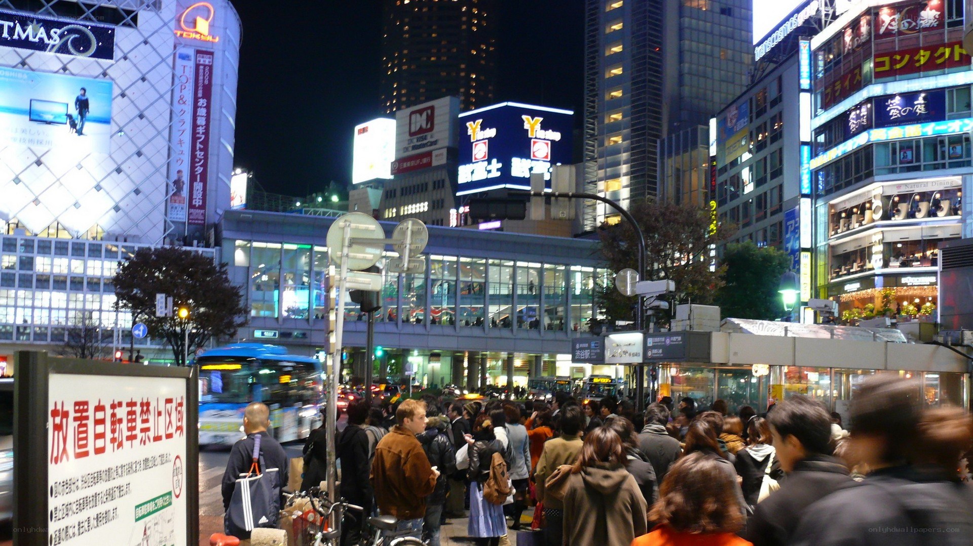 Crowded night scene in Tokyo