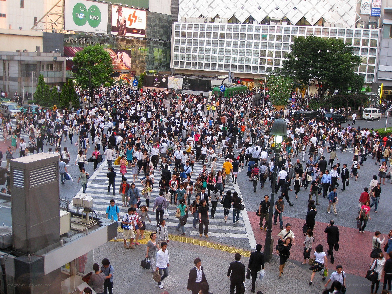 Crowded pedestrian crossing in Tokyo